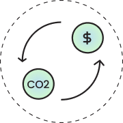 Carbon exchanges